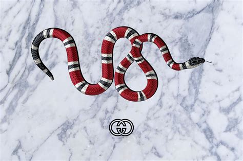 gucci white snake|Gucci snake meaning.